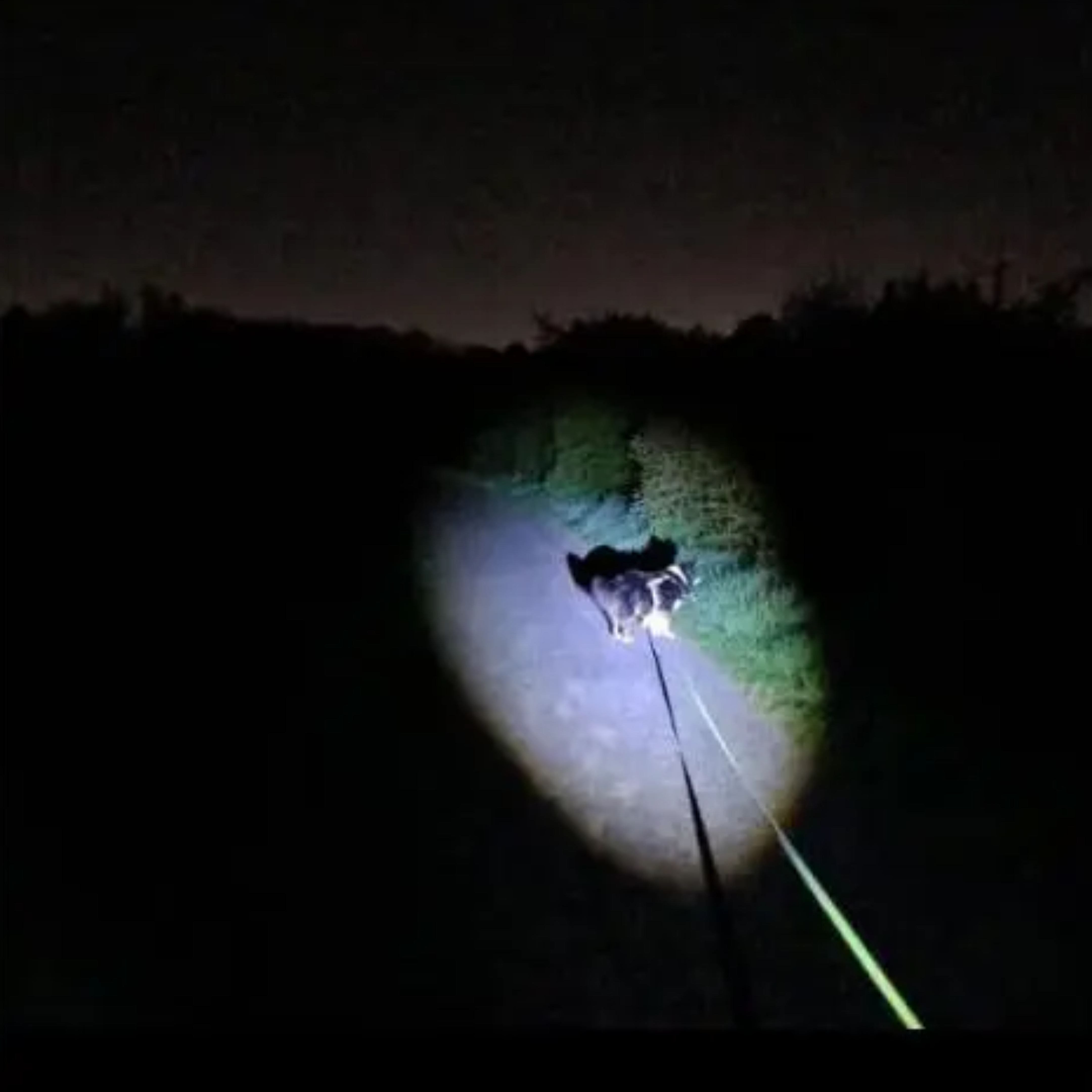 Night Spark Tactical Flashlight reviews Daniel K.